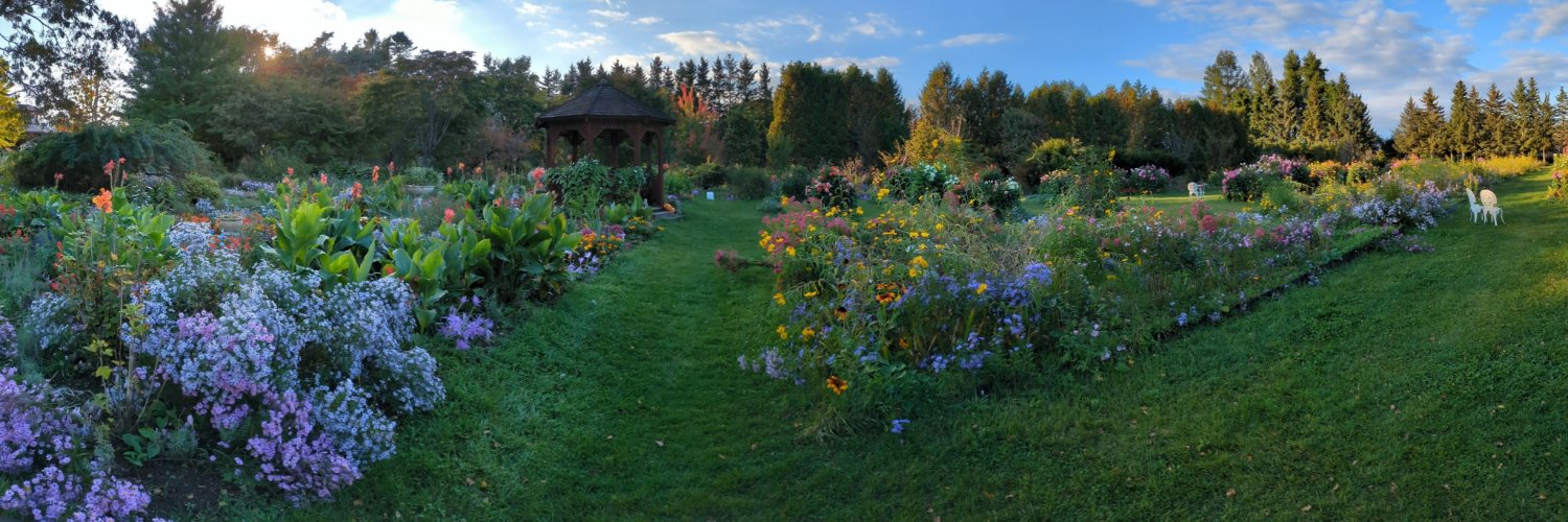 昴宿ありす　ALICE Boshuku banner