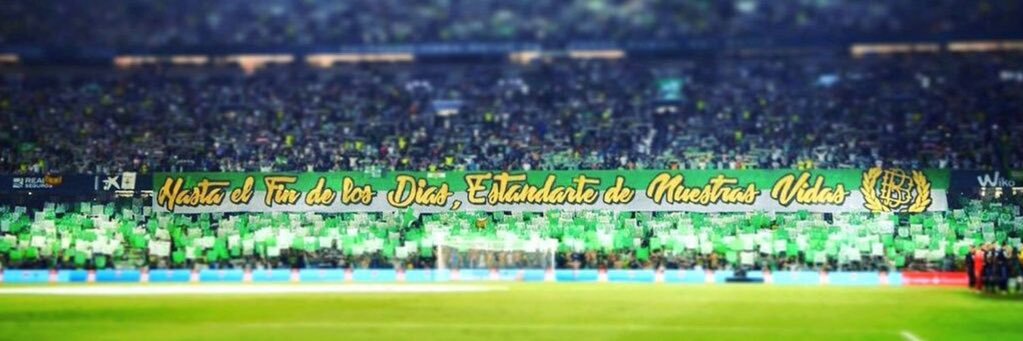 Fanáticos del Betis banner
