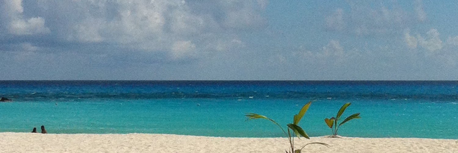 Begoña Rivas banner