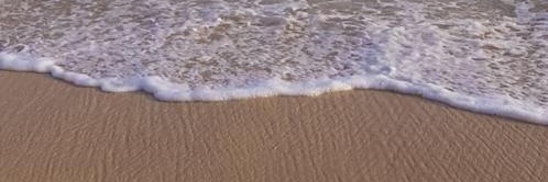 ay banner