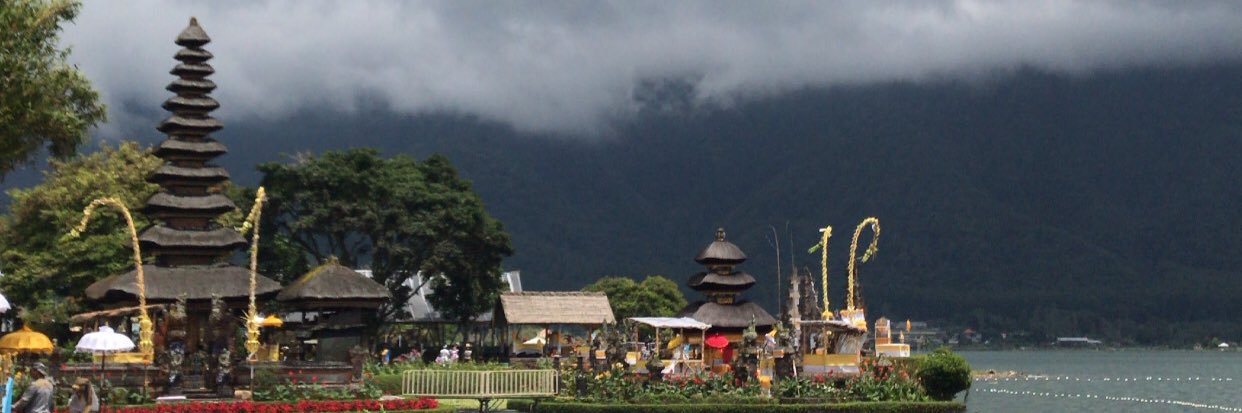 arandipakia's profile banner image