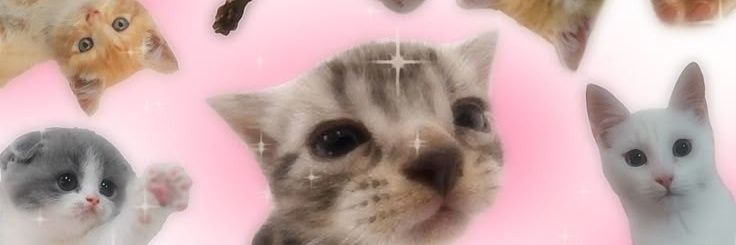 Jiaa²³ banner