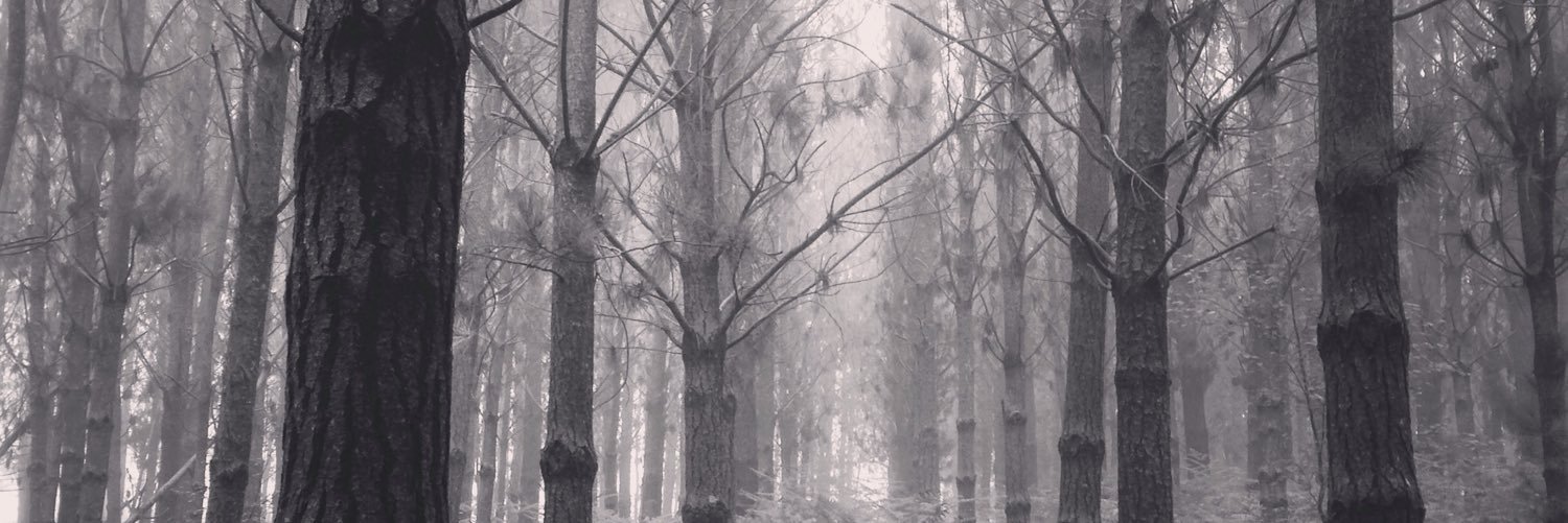 jaumas's profile banner image