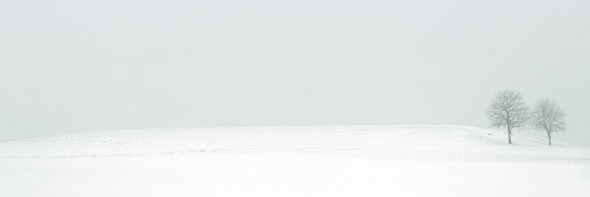 FieldNat's profile banner image