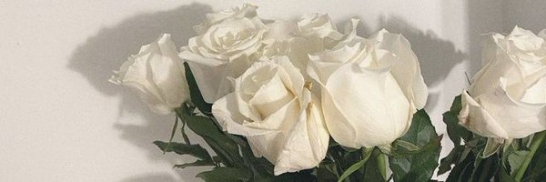 _simplesebela Profile Banner