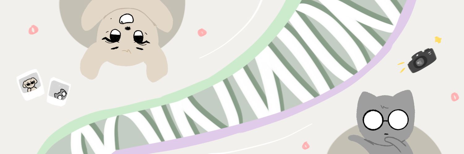 flapfloopdoop's profile banner image