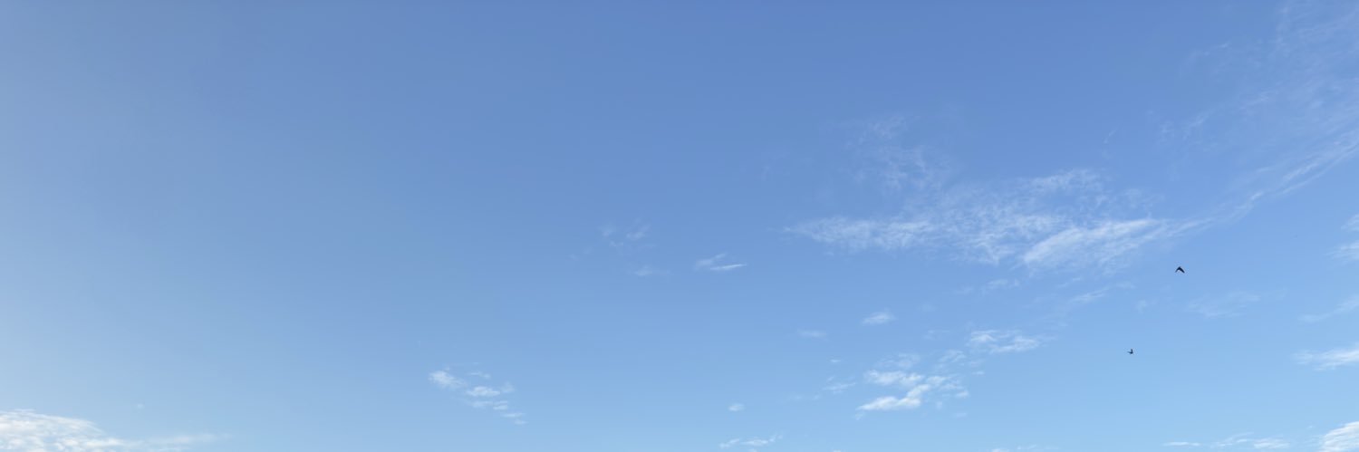 imbeaniee's profile banner image