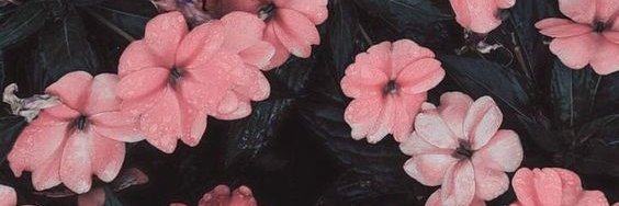 fiiaratrii's profile banner image