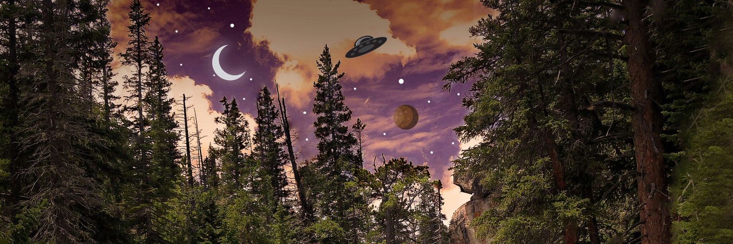 Buddy_Evergreen's profile banner image
