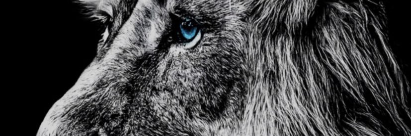ChuckLeeCheese's profile banner image