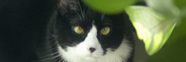 3ssming Profile Banner