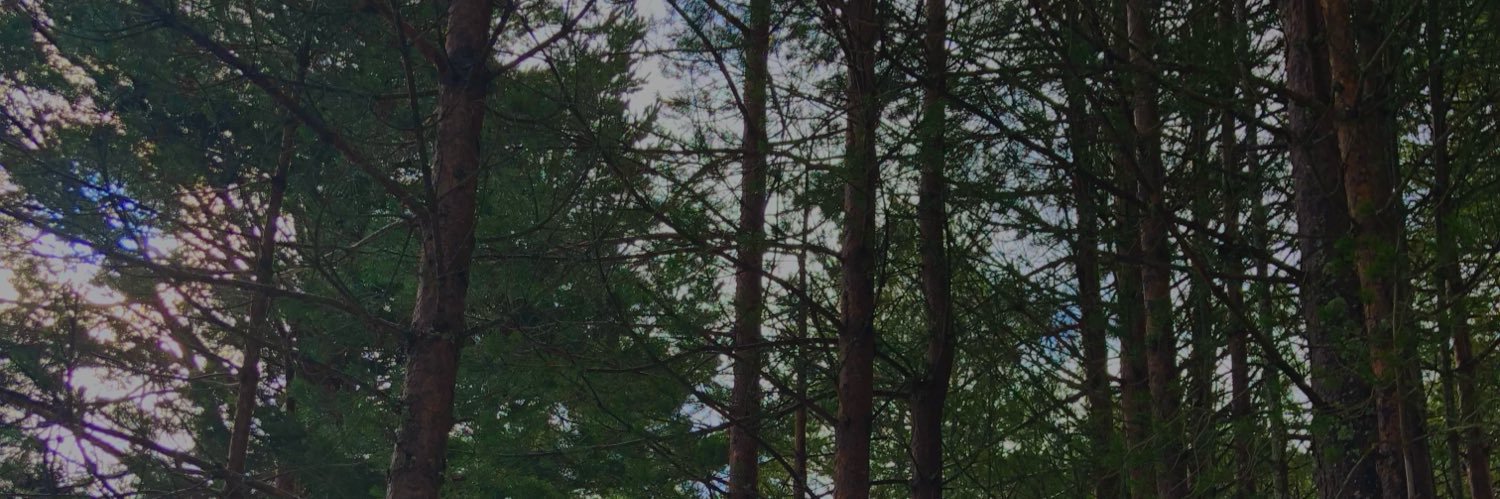 laury_luque's profile banner image