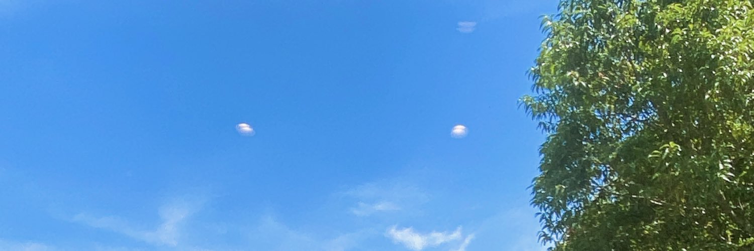 おとりひき banner
