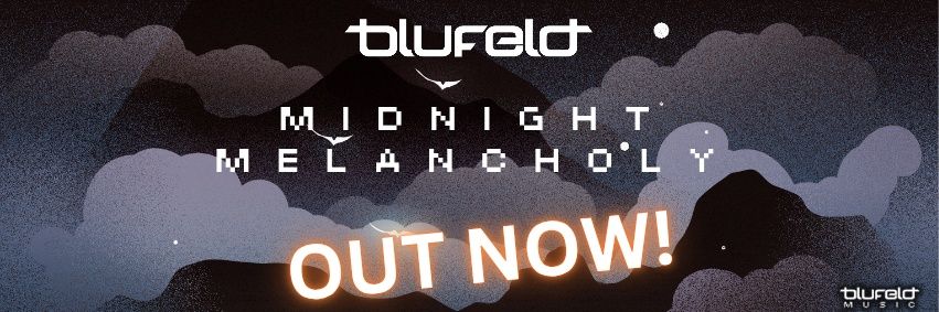 Blufeld's profile banner image