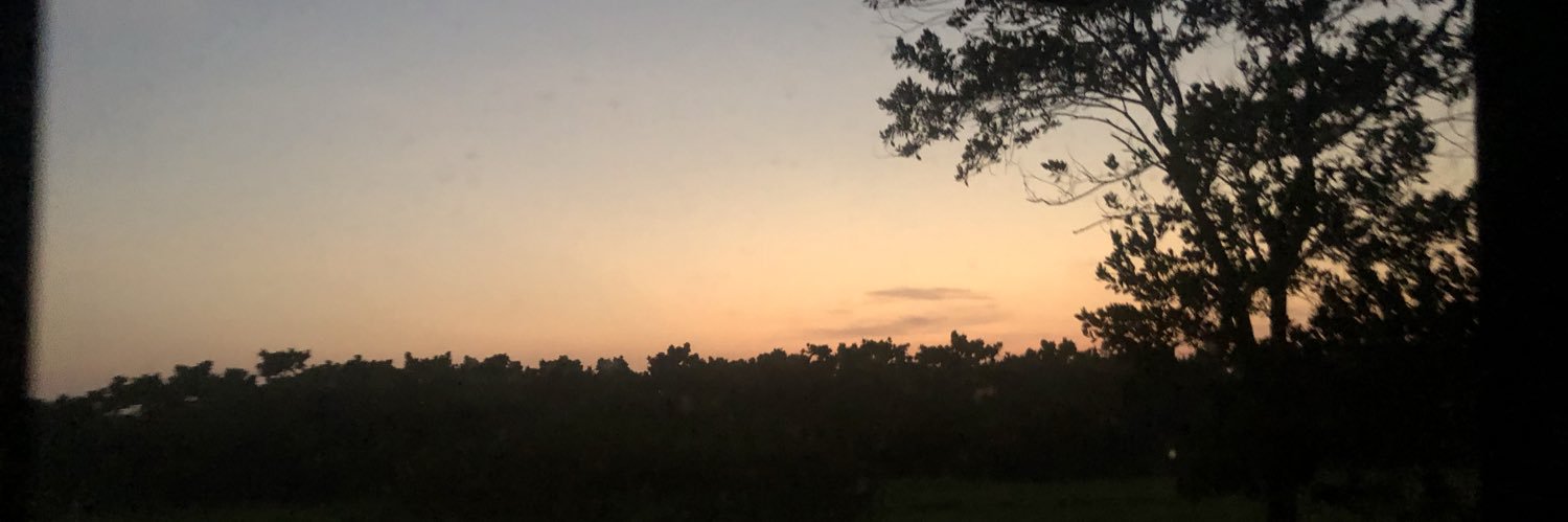 stephennoei's profile banner image
