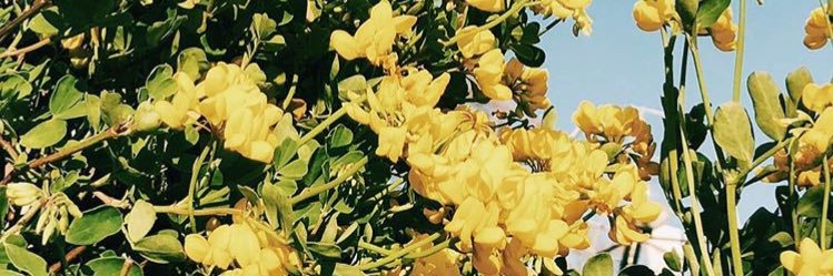 claudiag_10's profile banner image