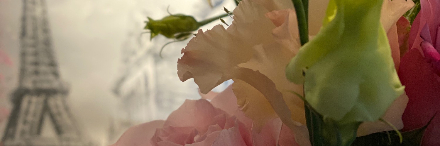 Dr Metka Potočnik banner