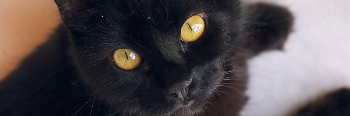 JAltamiranda_'s profile banner image