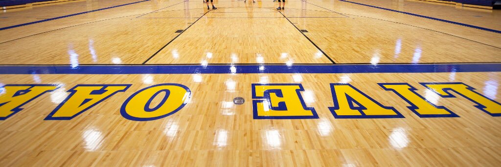 Live Oak Basketball banner