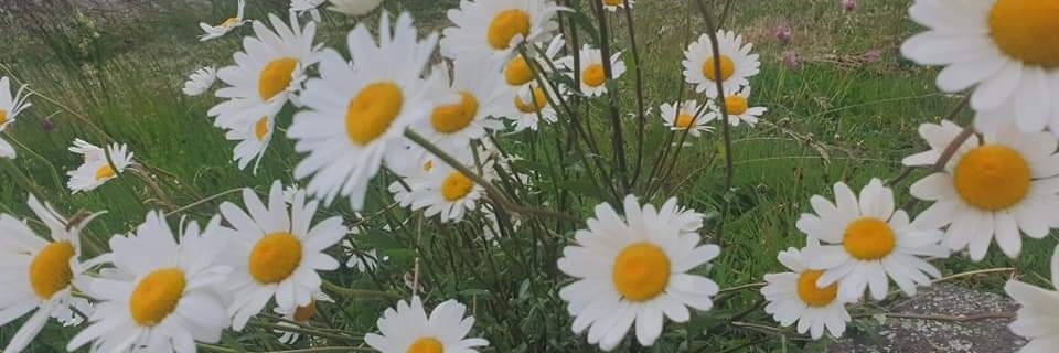 sagitshon's profile banner image