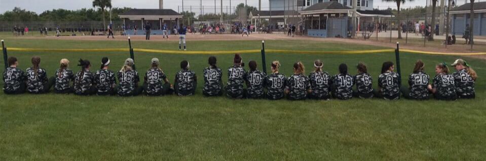 Plymouth State Softball banner