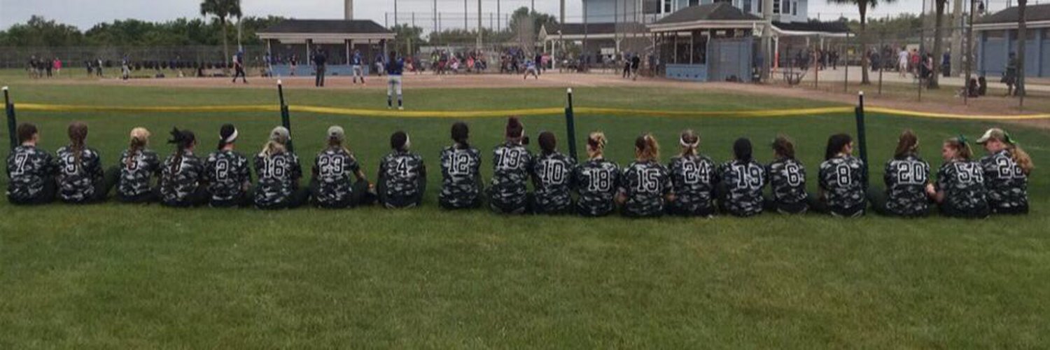 Plymouth State Softball Profile Banner