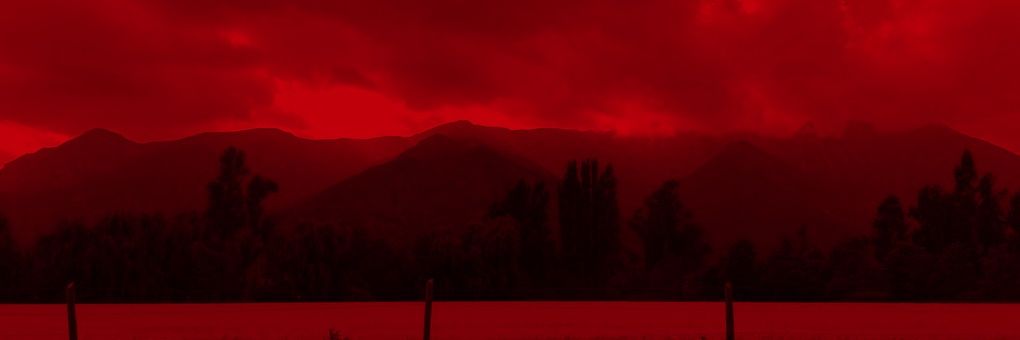 Catherine_Ort's profile banner image