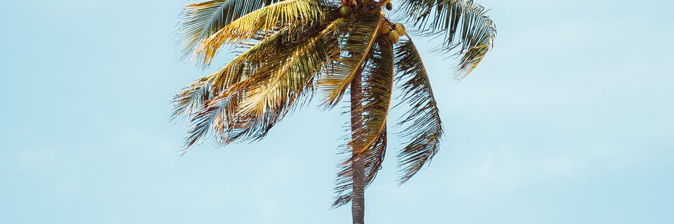 leeeksaaa's profile banner image