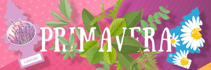 LittleTreesMx's profile banner image
