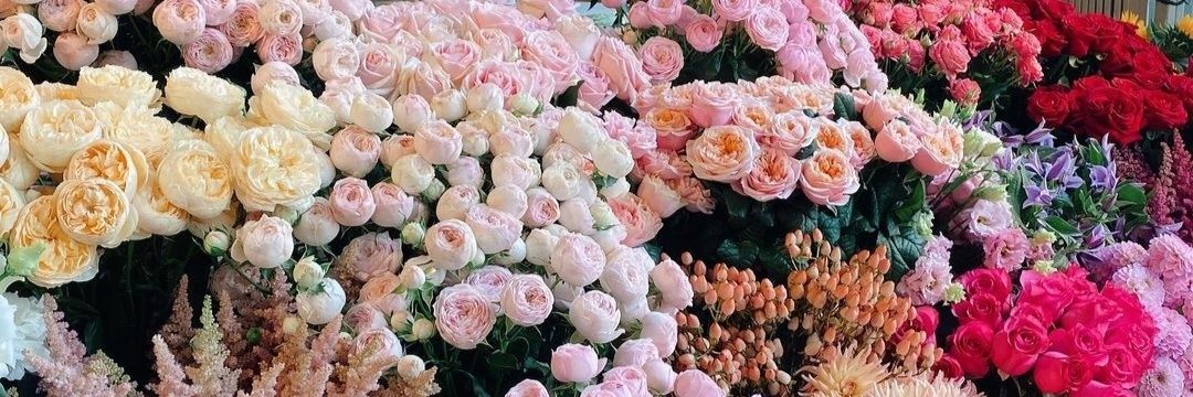 x_Chxrlxttx_x's profile banner image