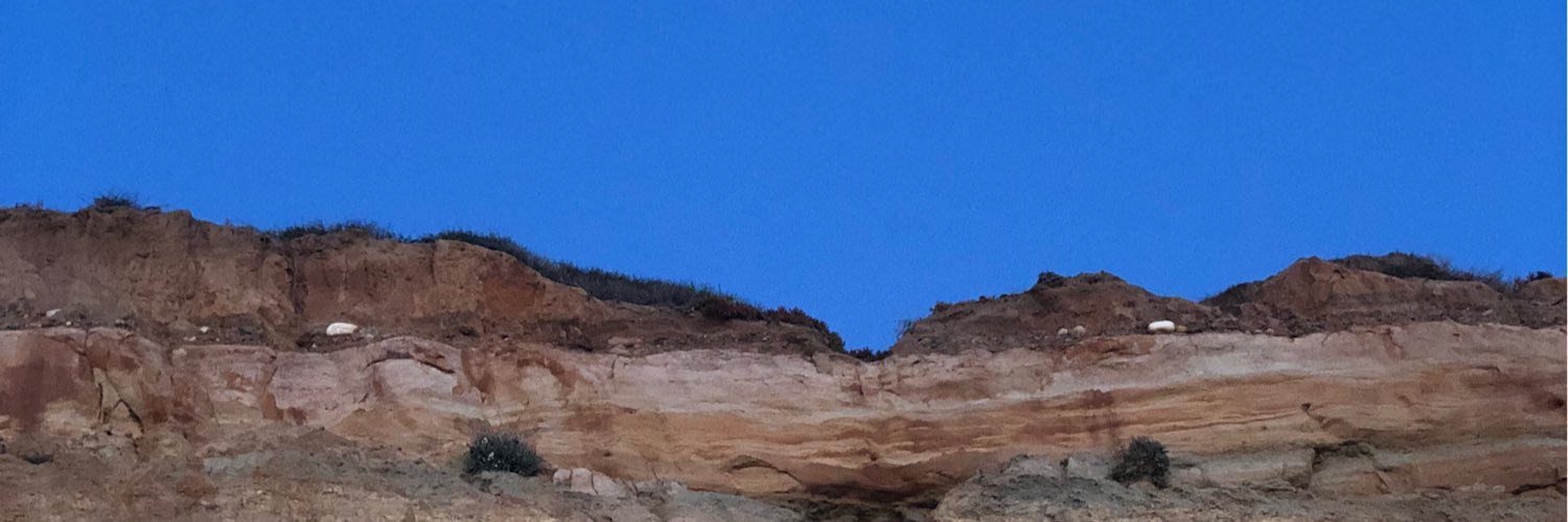 nevenecho's profile banner image