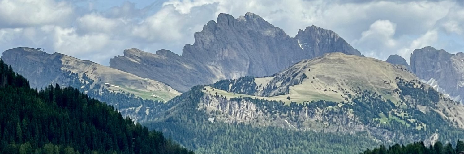 Jari Ognibeni banner