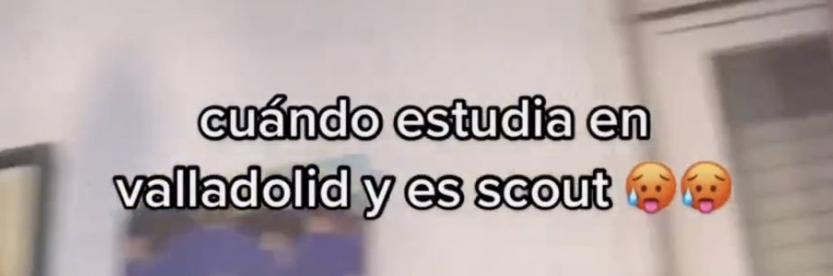 Ale banner