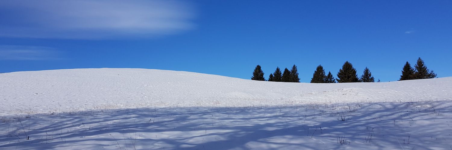 Adrianapoletti1's profile banner image
