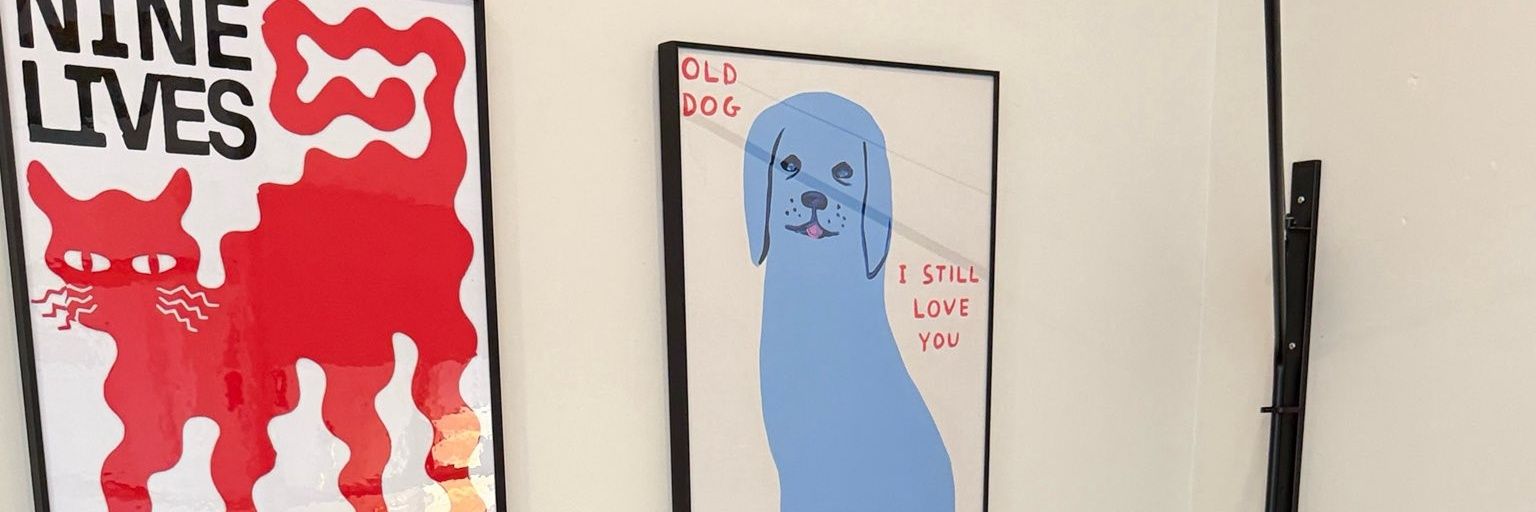 Haru💫 tigerlynx's cat 🐈‍⬛ banner