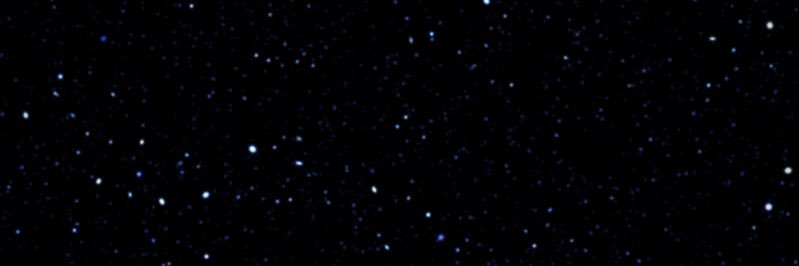 Tiffanie Cross banner