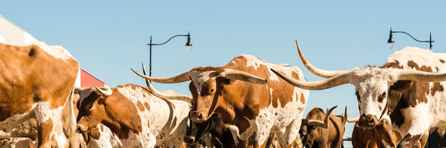 City of Guymon banner
