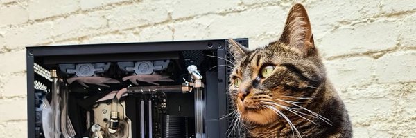 battlerigs Profile Banner