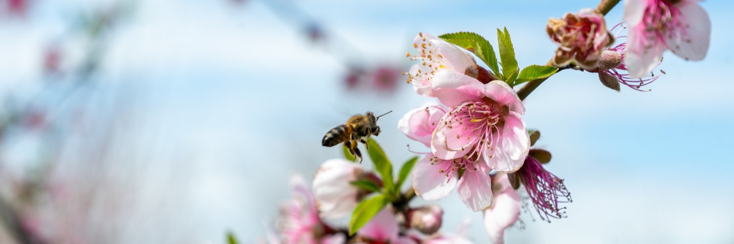 Adana İl Tarım ve Orman Müdürlüğü banner