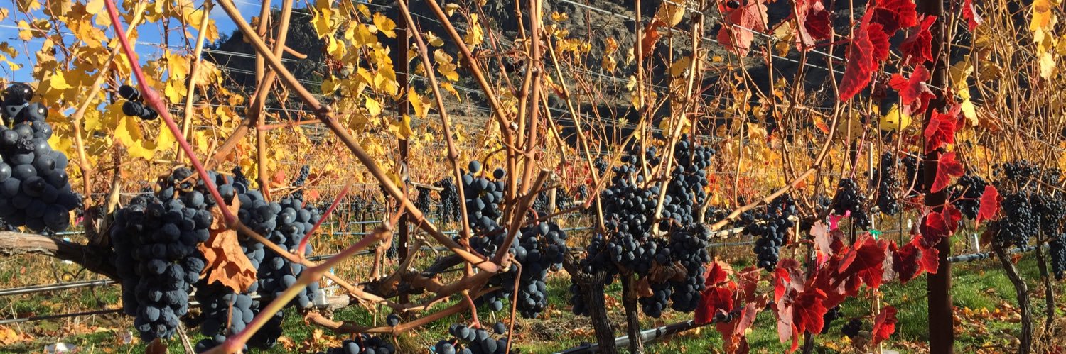 J-S the Wine Dad 🍷🥂🍶 banner