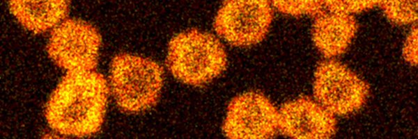 FrukLab Profile Banner