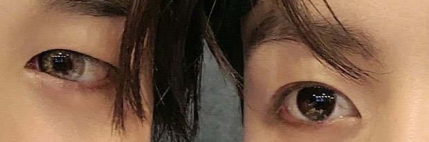 trusselle_'s profile banner image