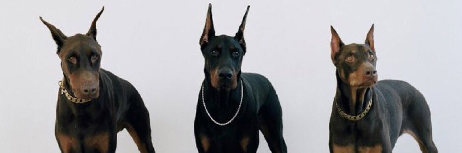 Cuneytcet's profile banner image