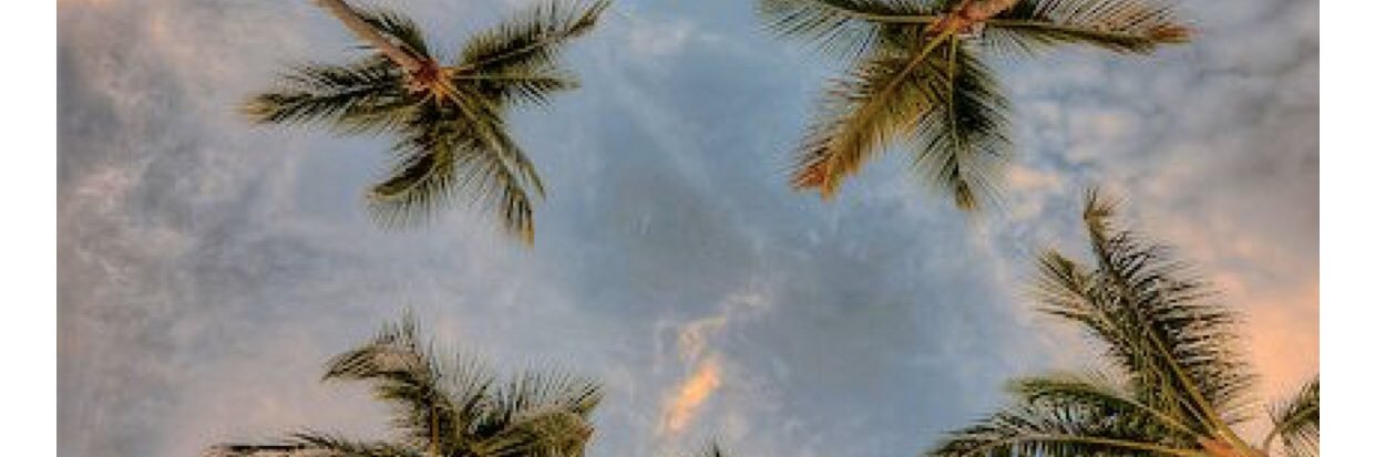 ReNascimentooo's profile banner image