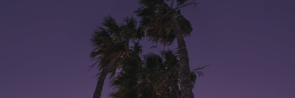 rociosm99's profile banner image