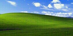 MPeradoro banner