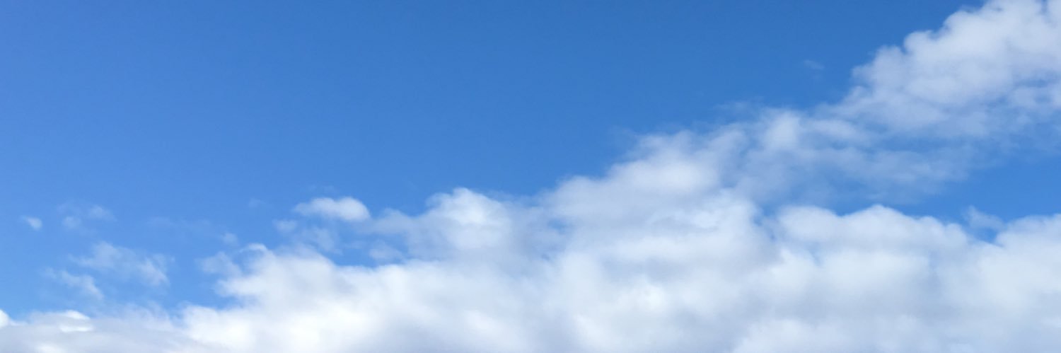 Nieves Peltzer's banner