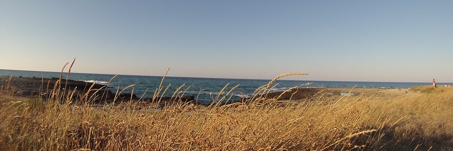 angimasi's profile banner image