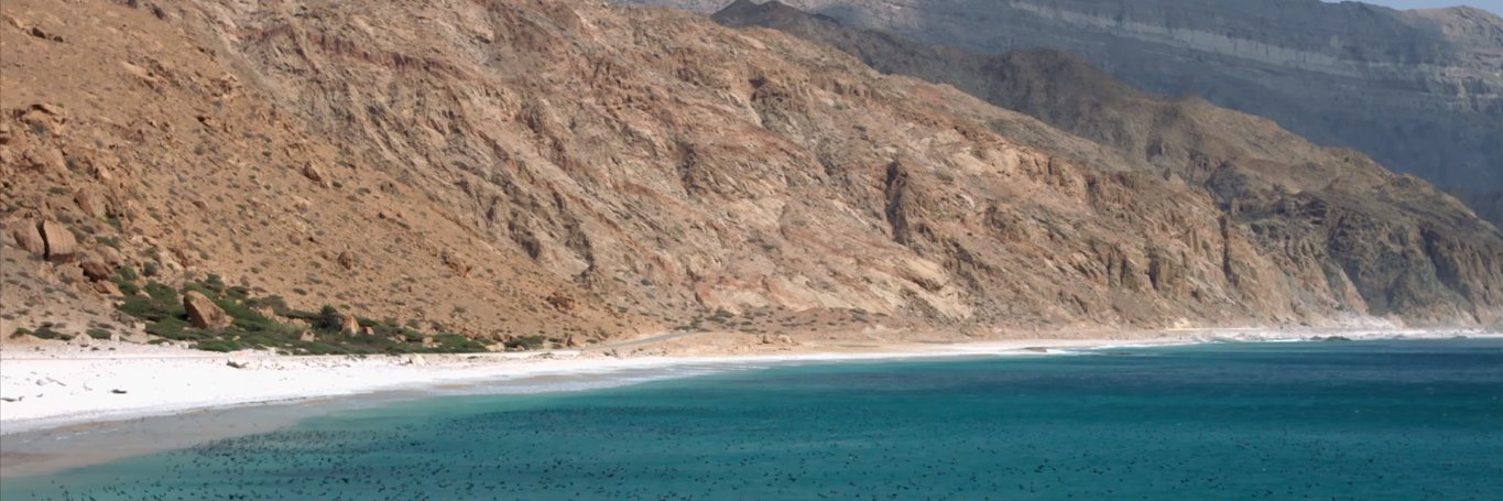 ikhmalallif's profile banner image