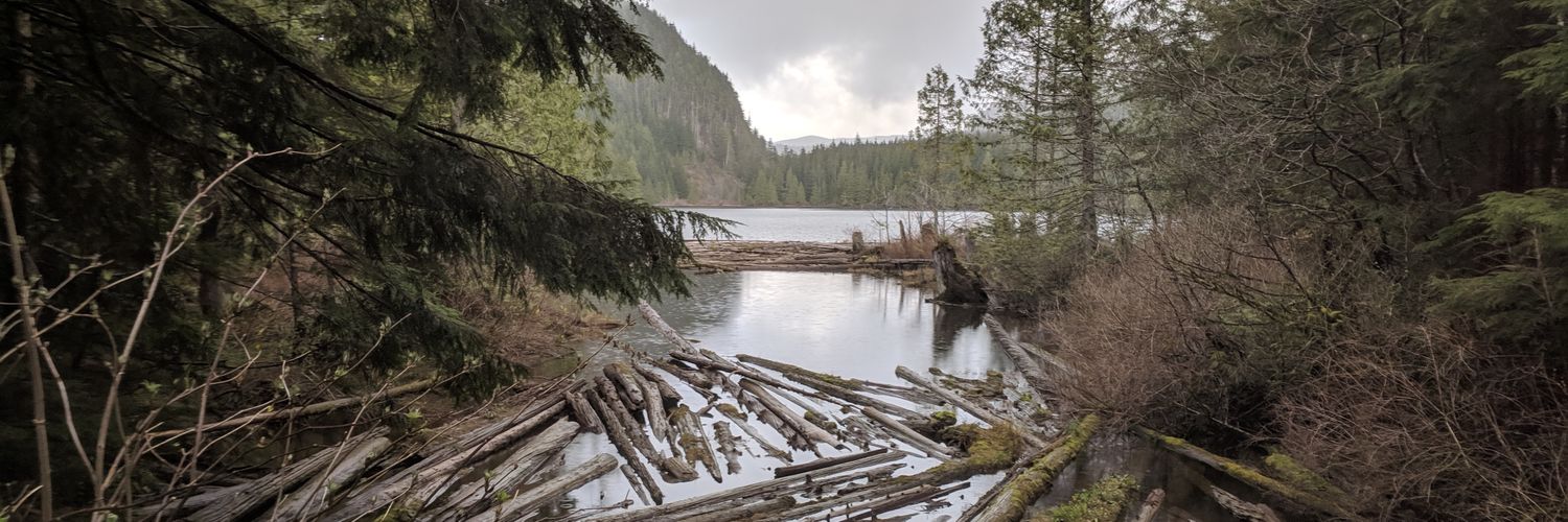 Benjamin Djidi banner